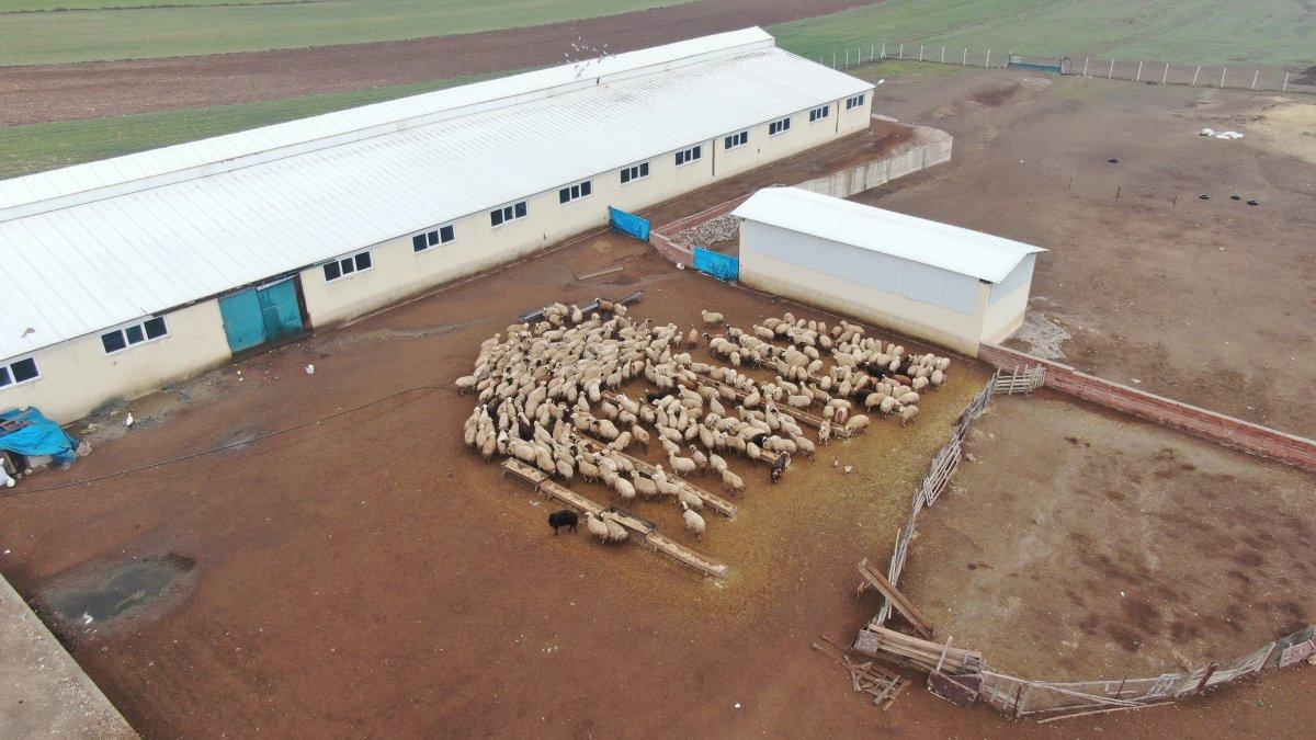 Elazığ’da devlet desteği ile çiftlik sahibi oldu