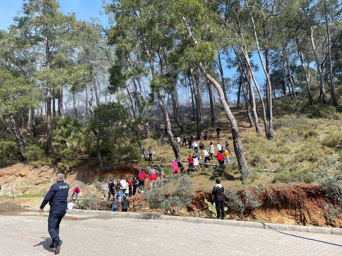 Muğla'da, ormanlık alanda çıkan yangın söndürüldü