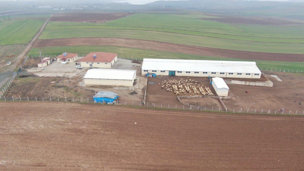 Elazığ’da devlet desteği ile çiftlik sahibi oldu