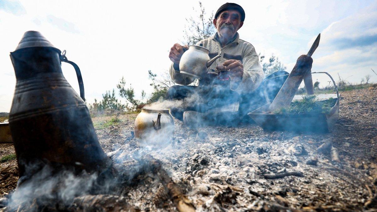 Kahramanmaraşlı 'fidan dede', 35 yılda 550 bin fidan dikti