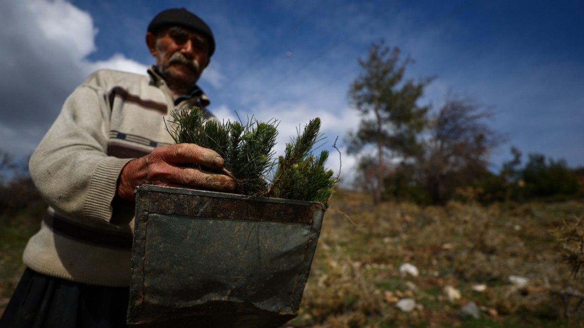 Kahramanmaraşlı 'fidan dede', 35 yılda 550 bin fidan dikti
