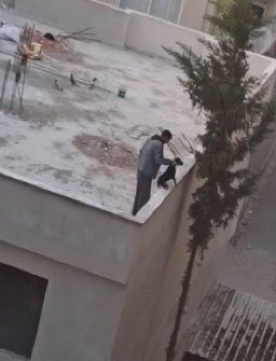 Mersin'de yavru köpeğe kan donduran işkence