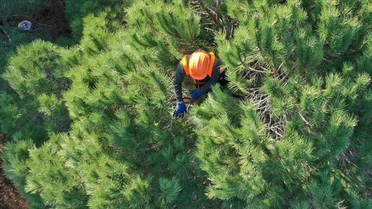 Tarım ve Orman Bakanlığı 5 bin personel alımı ne zaman, başvuru şartları neler? Fuat Oktay duyurdu!