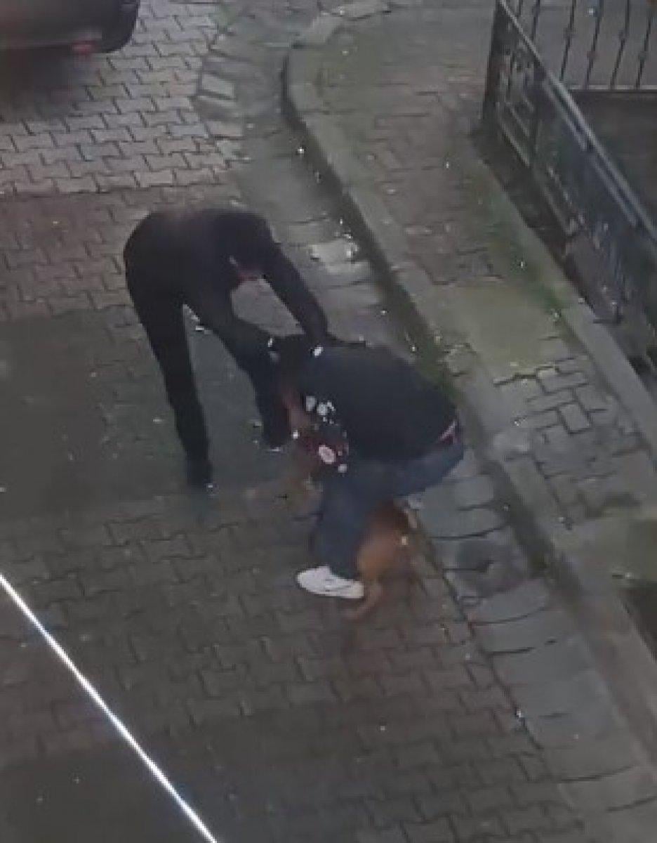 Güngören'de pitbull dehşeti: Isırılan genç güçlükle kurtarıldı