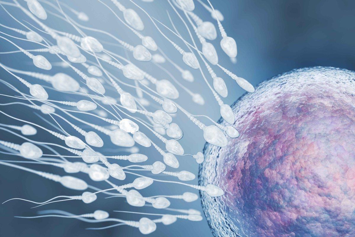 Sperm kalitesini artıran en iyi 5 besin grubu