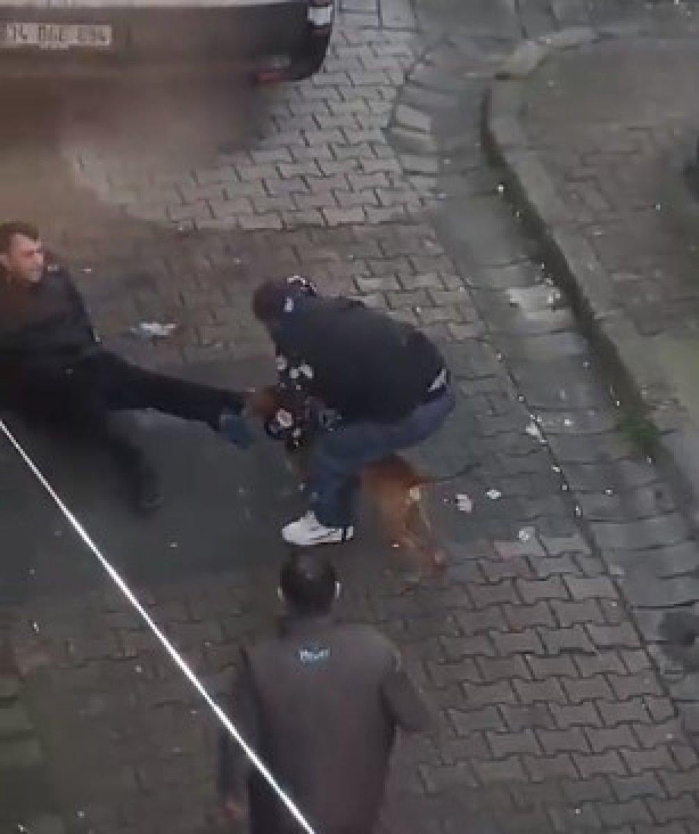 Güngören'de pitbull dehşeti: Isırılan genç güçlükle kurtarıldı