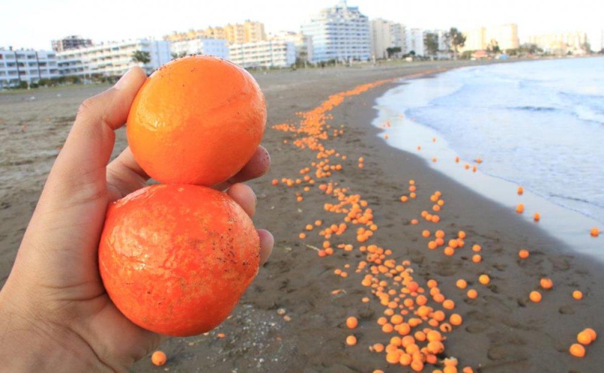 Mersin’de portakallar sahile vurdu
