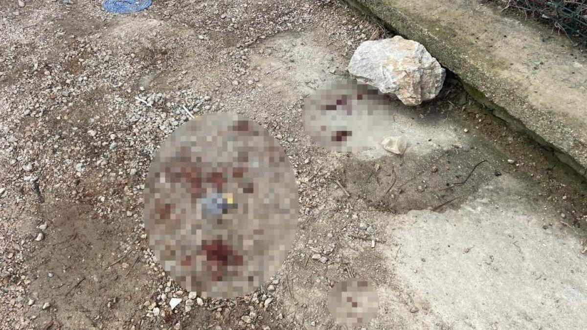 Konya’da silahla tehdit edilirken yaralının duran kalbini çalıştırdı