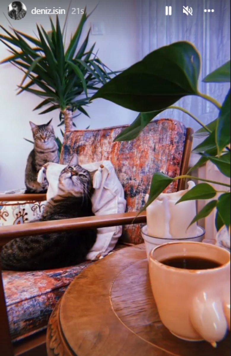 Deniz Işın: Küçük memelere haksızlık ettim