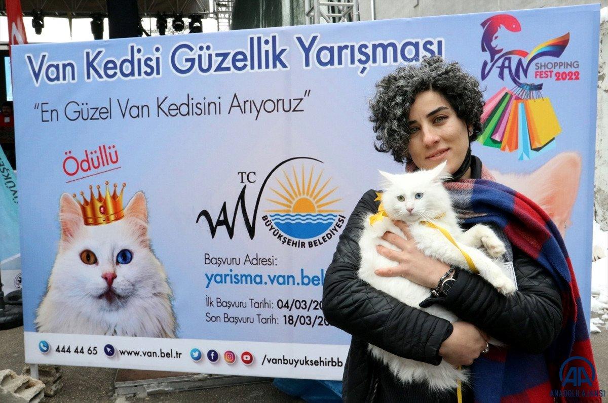 Van’da, kediler arası güzellik yarışması yapıldı