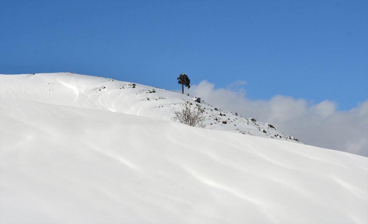 Doğu'da 152 yerleşim yeriyle bağlantı kesildi