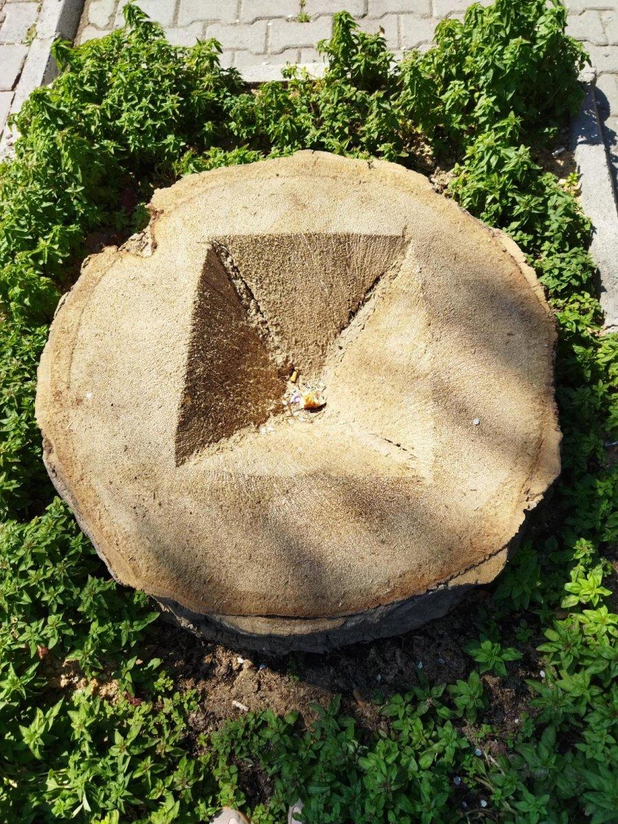 İzmir'de belediye, Kültürpark'taki kuruyan 72 palmiye ağacını kesti