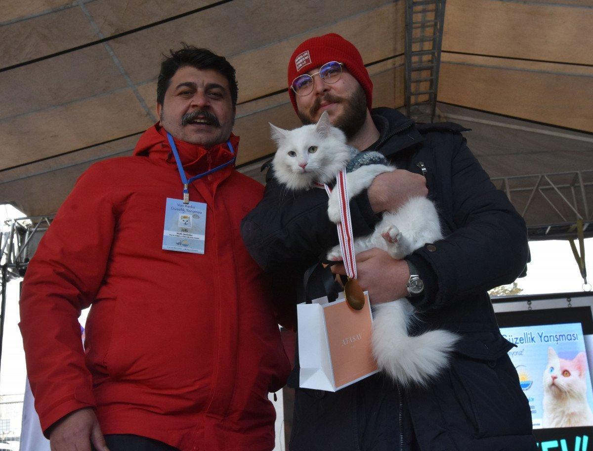 Van’da, kediler arası güzellik yarışması yapıldı
