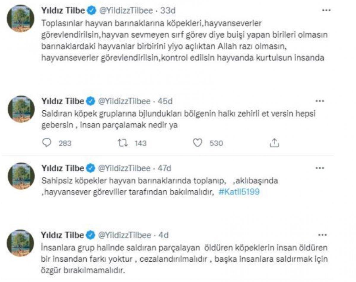 Türkiye Hayvanları Koruma Vakfı, Yıldız Tilbe’ye dava açtı