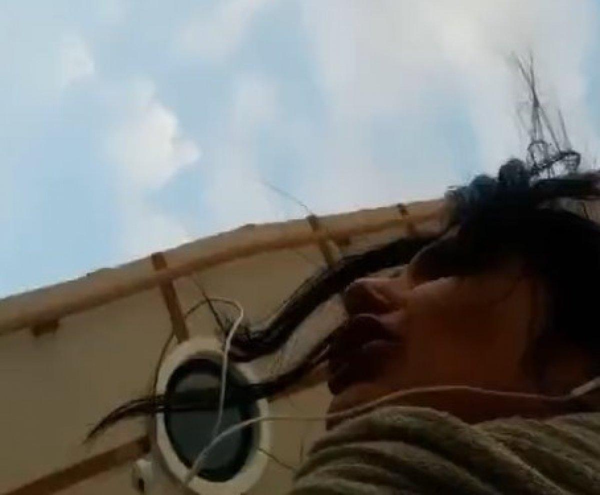 Kocaeli'de başıboş köpekler üniversiteli kıza saldırdı