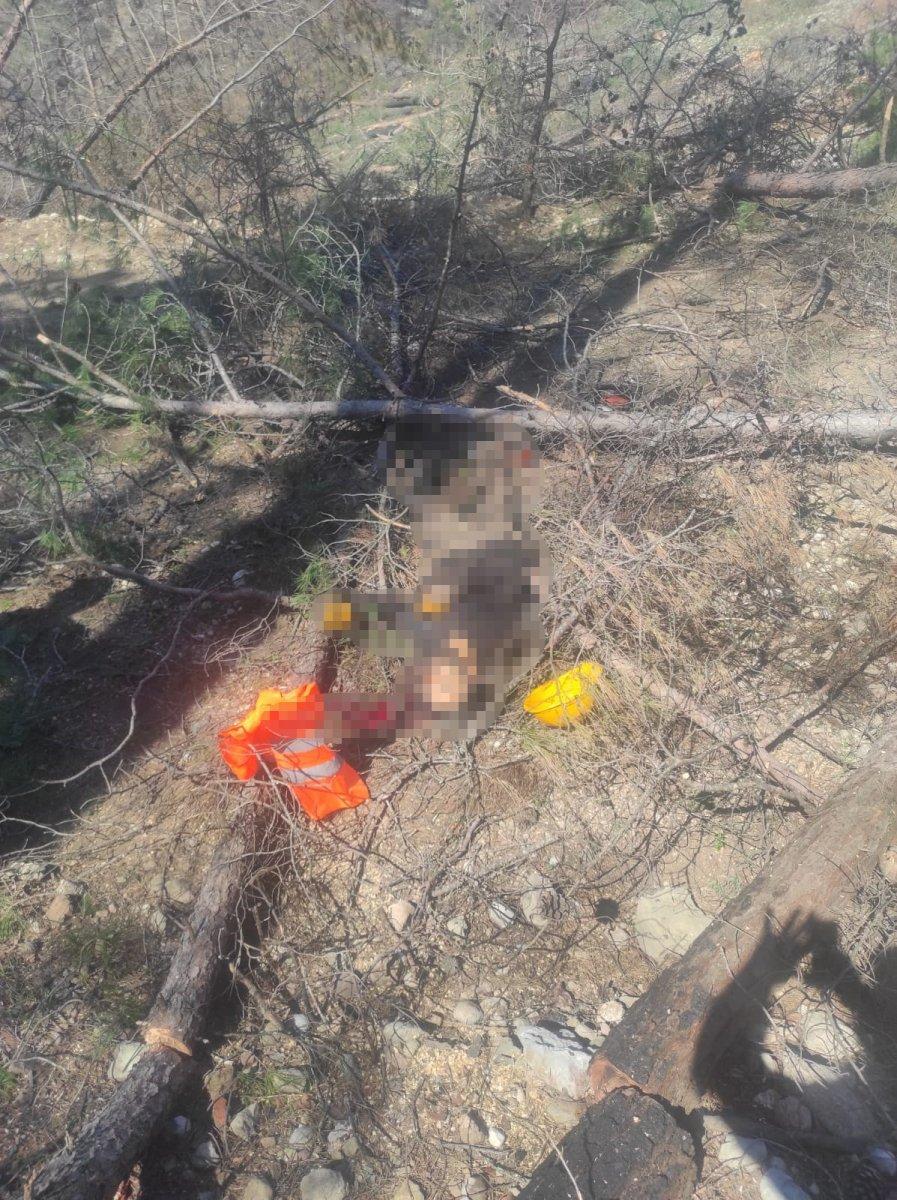 Antalya’da arkadaşının kestiği ağaç üzerine düşünce öldü