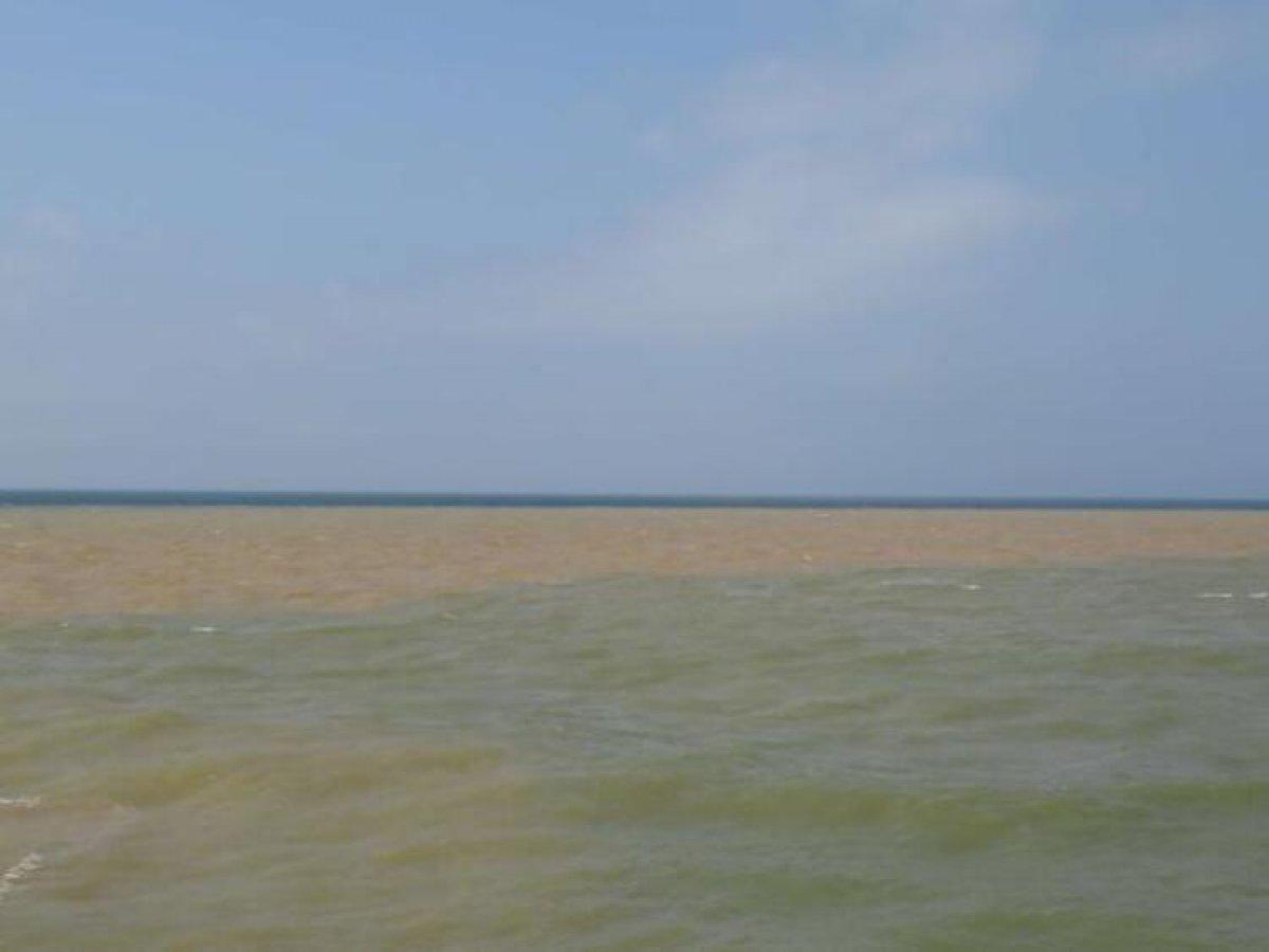 Şile'de denizin rengi kahverengiye döndü