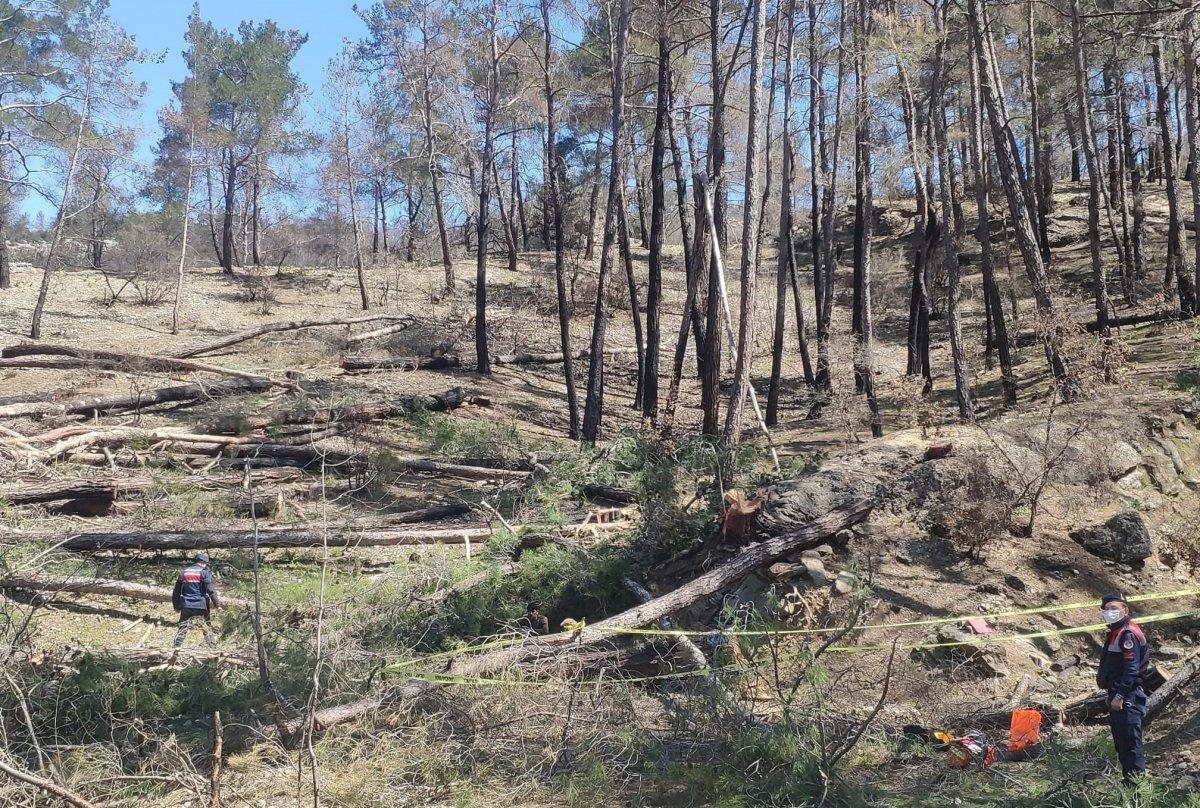 Antalya’da arkadaşının kestiği ağaç üzerine düşünce öldü