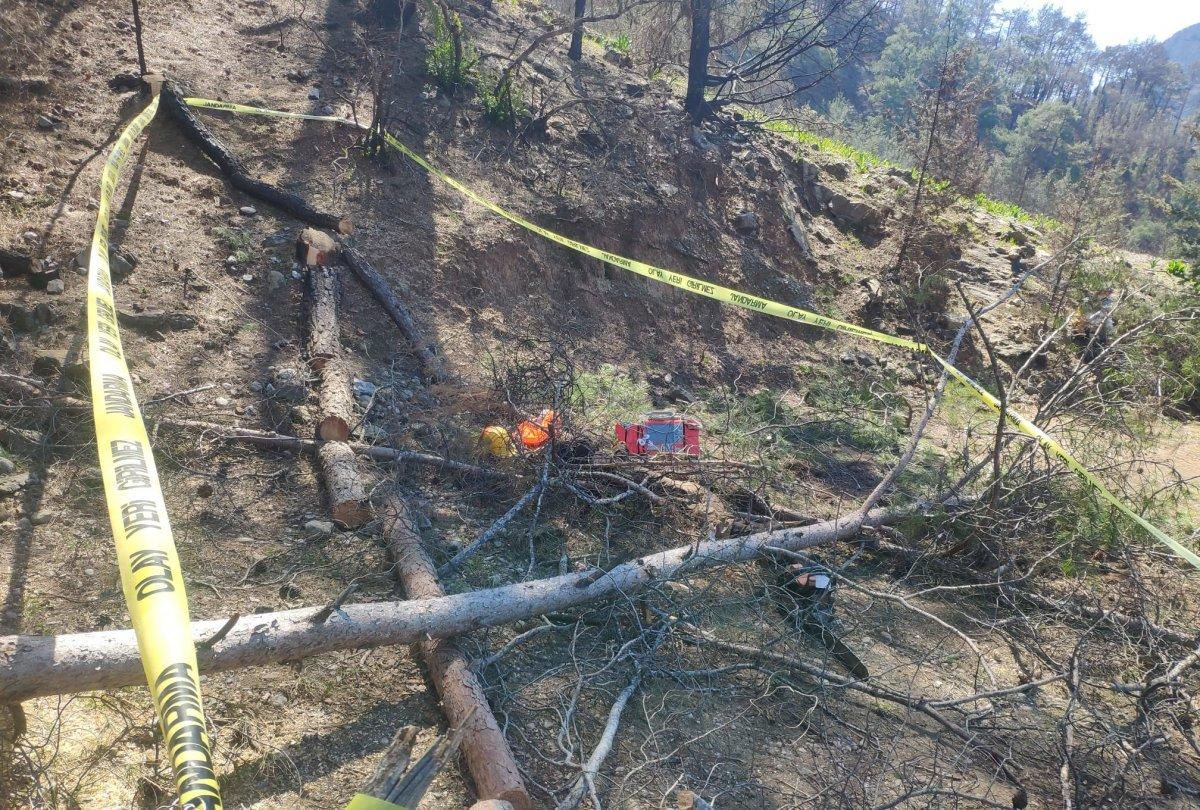 Antalya’da arkadaşının kestiği ağaç üzerine düşünce öldü