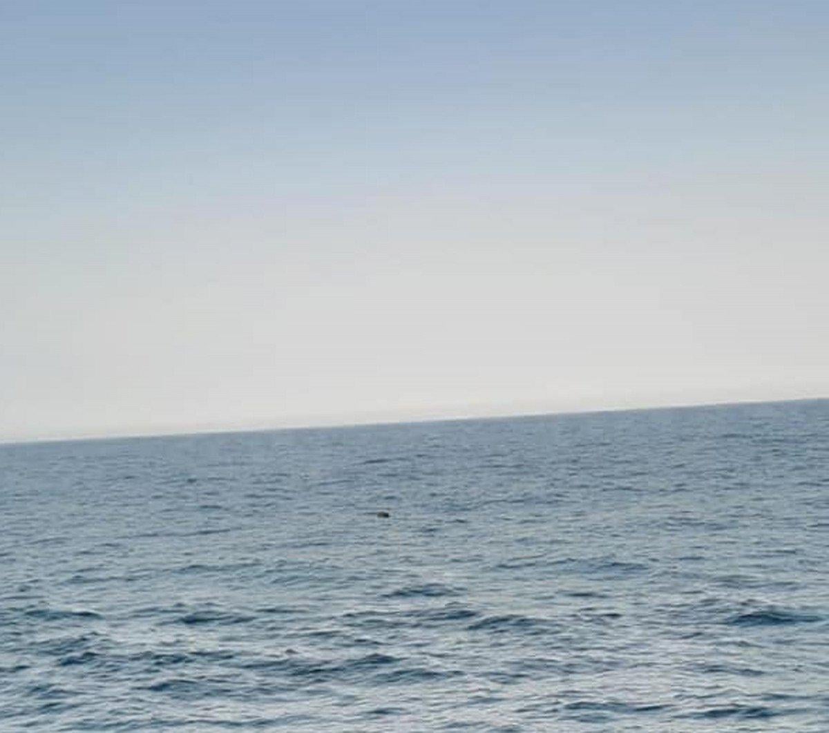 Kırklareli’de denizdeki mayını fark eden balıkçı: 200 metre yanından geçtik