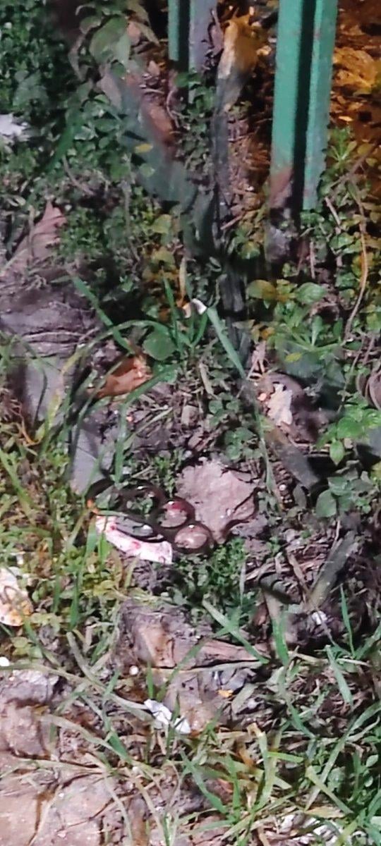 Kağıthane'deki kağıt toplayıcısı, şah damarından bıçaklanarak katledildi