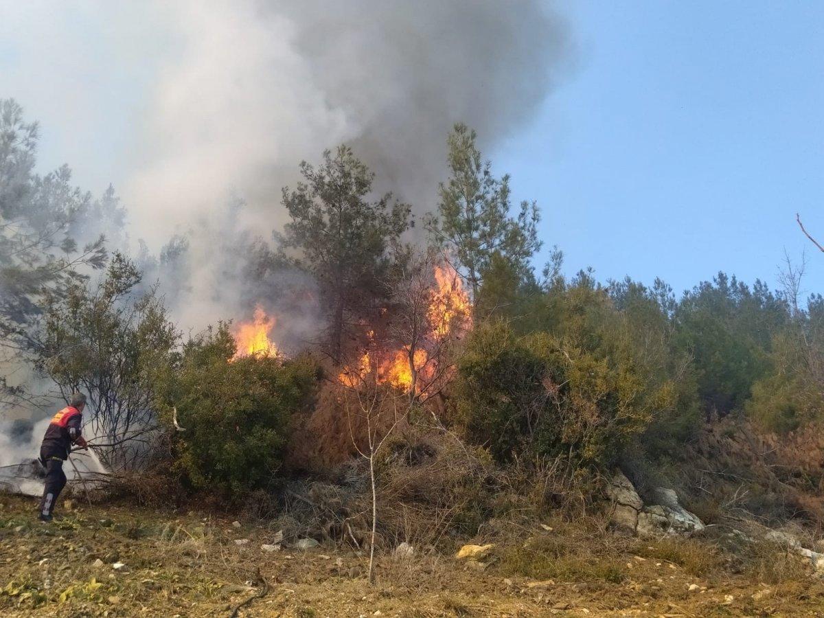 Aydın'da yemek pişirmek isterken ormanı yaktı