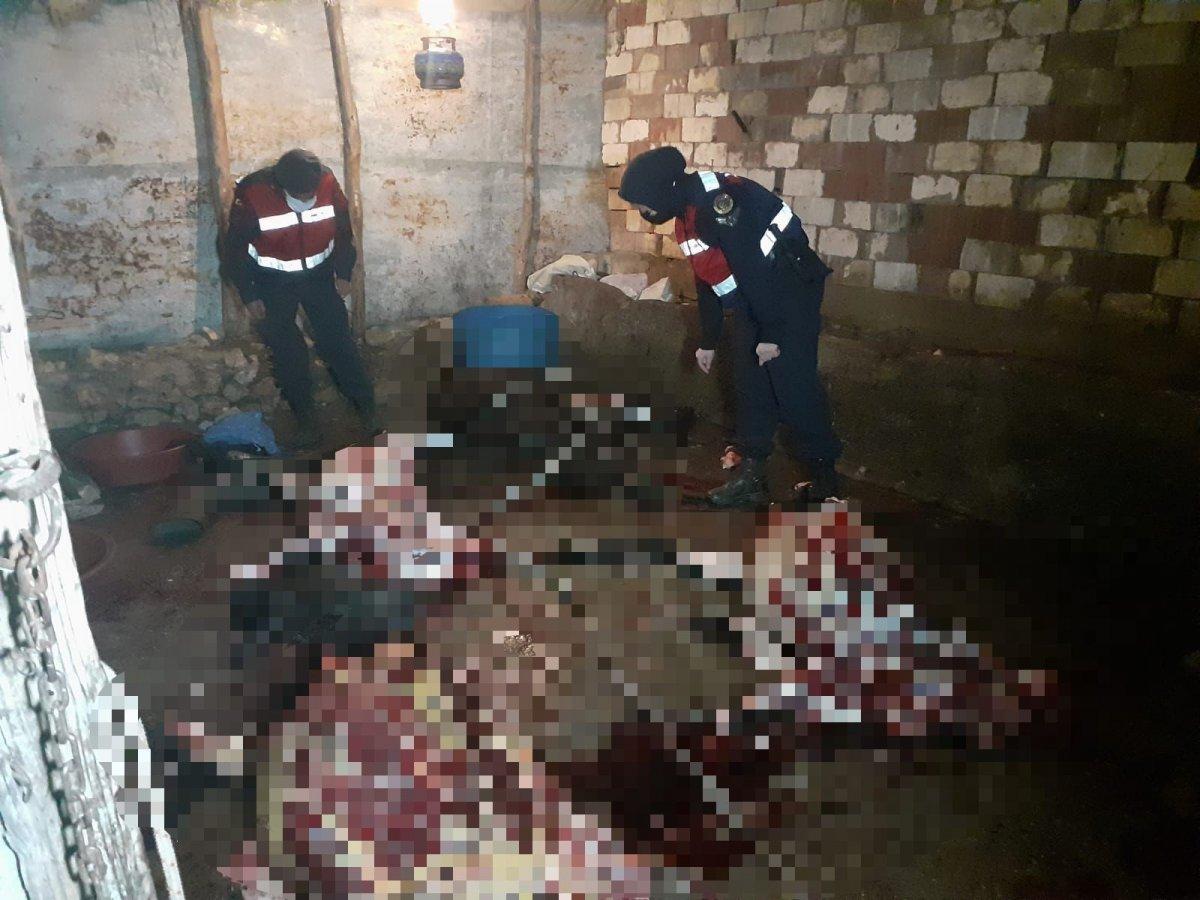 Manisa'da eşek etini piyasaya sürmeye çalışanlara suçüstü yapıldı