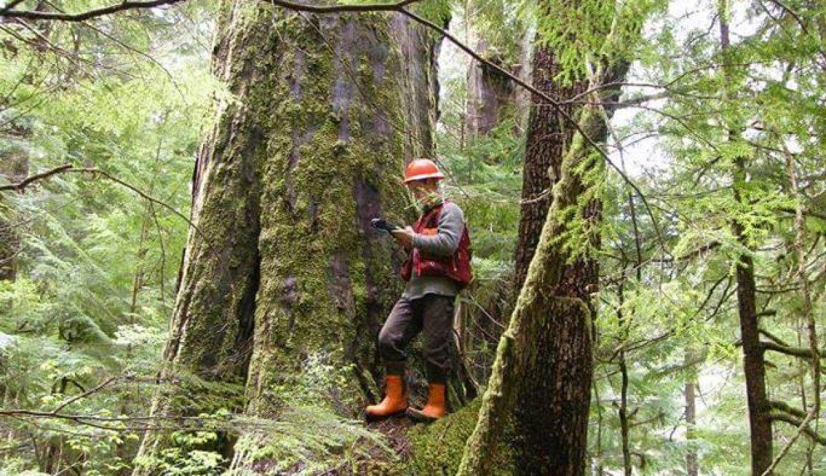 283 mühendis alınacak! OGM personel alımı başvurusu ve şartları 2022