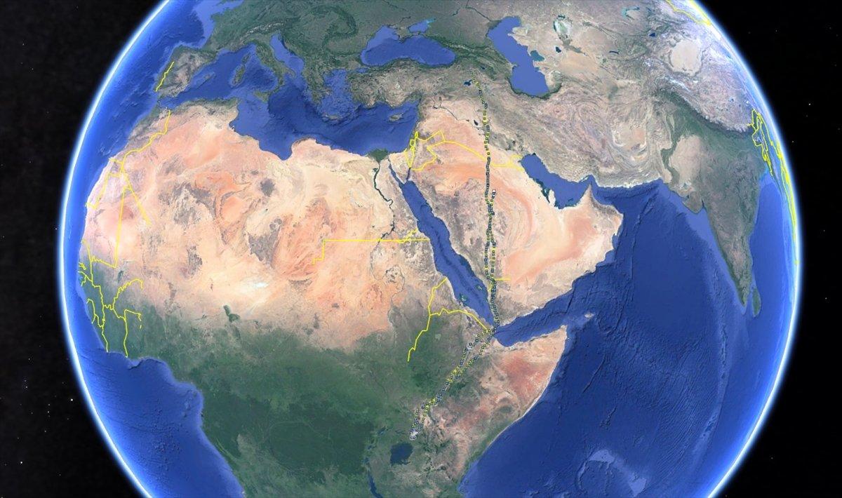 Iğdır’dan yola çıkan kartal, 6 ayda 20 bin kilometre uçtu