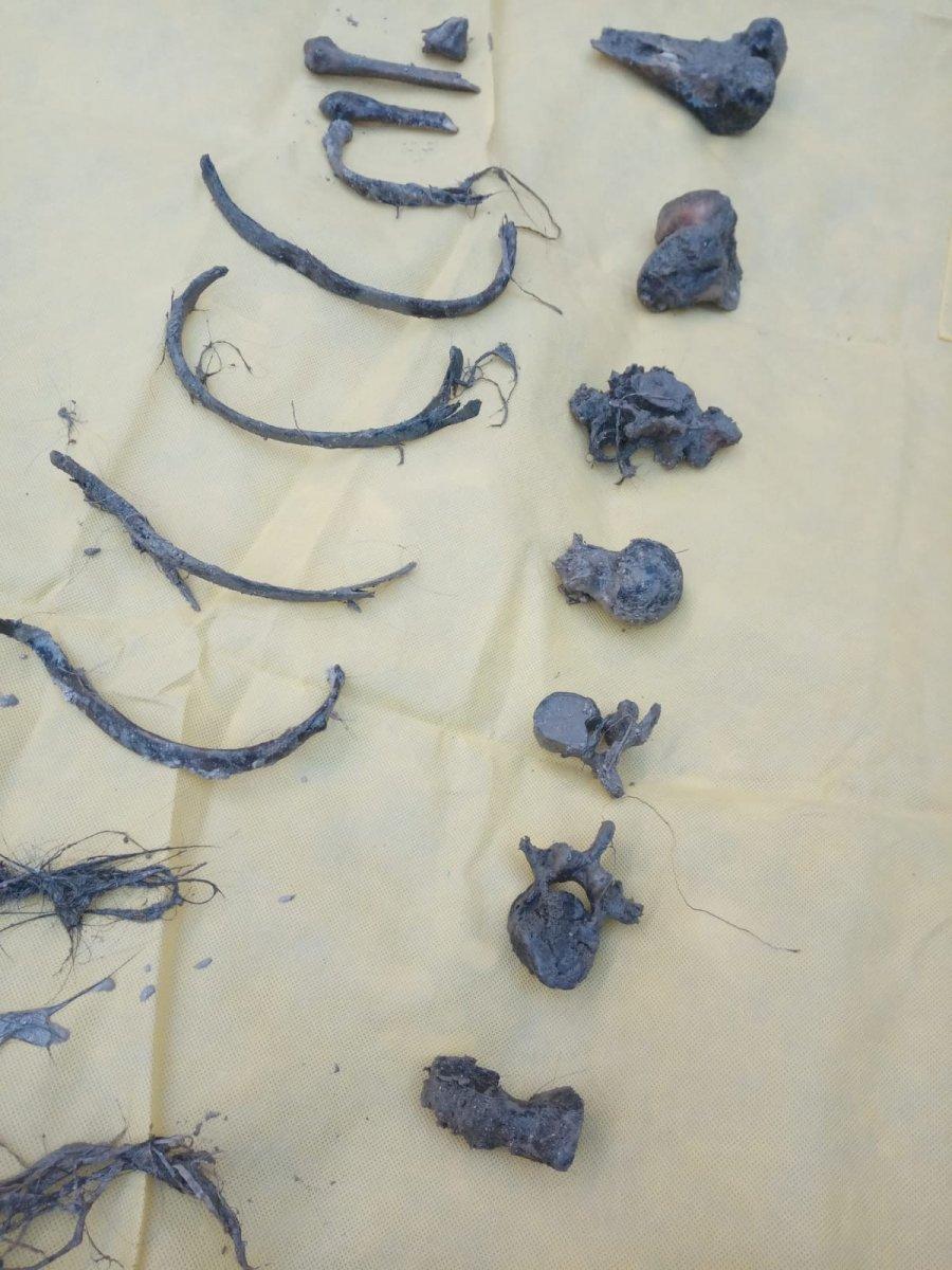 2006 yılında kayıp olarak aranan kadının kemikleri su kuyusunda bulundu