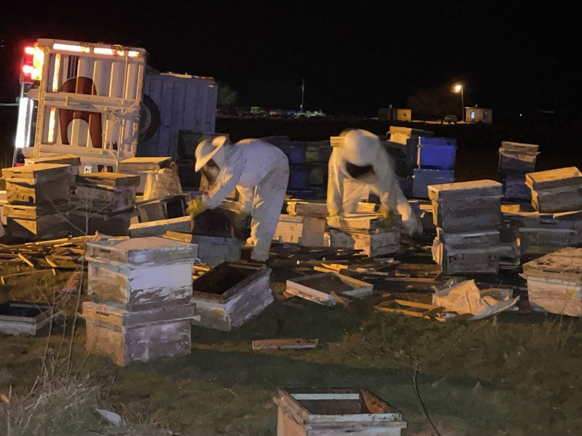 Şanlıurfa’da kovan yüklü pikap kaza yaptı, arılar yola saçıldı