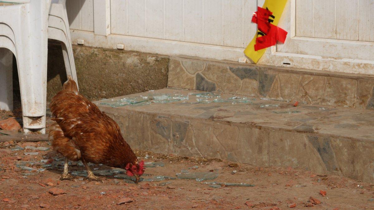 Edirne'de katledilen 4 kişilik ailenin torunu konuştu