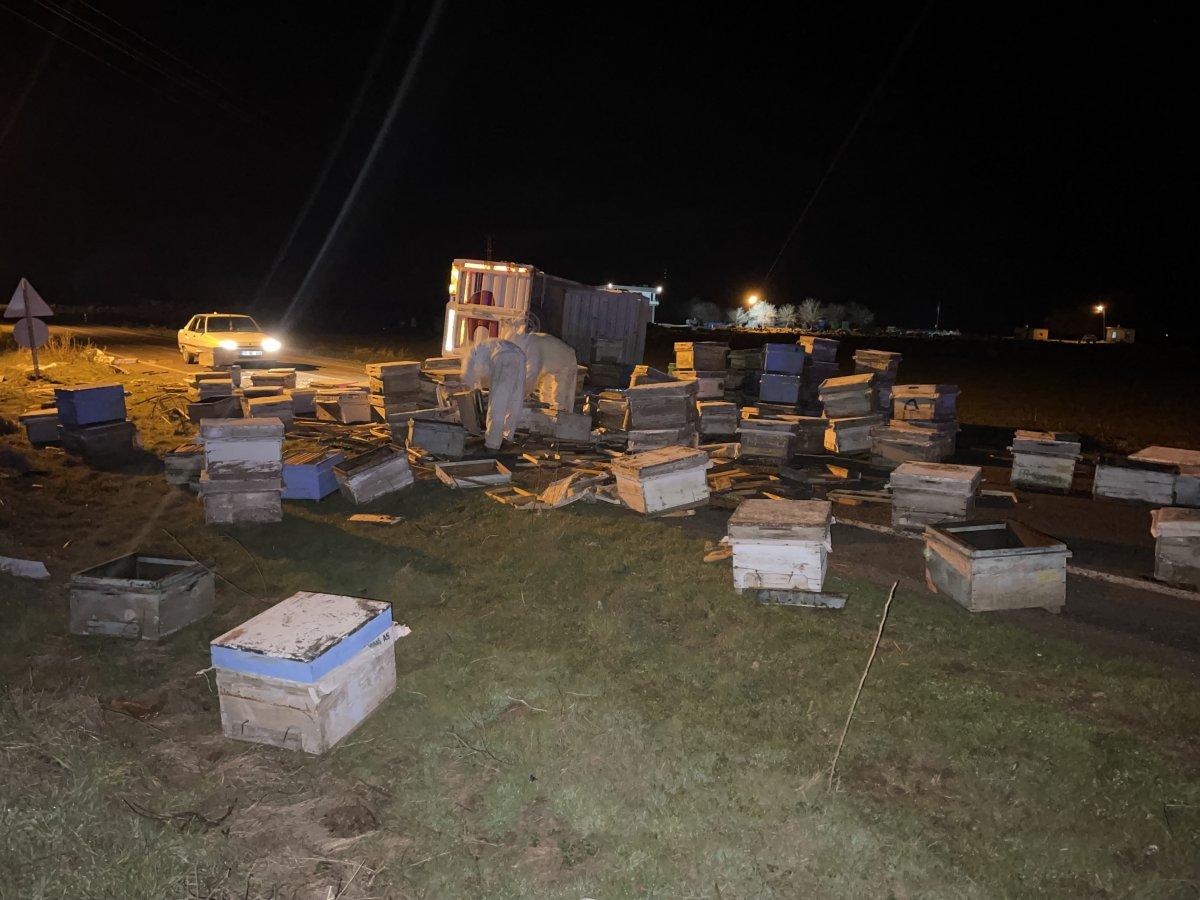 Şanlıurfa’da kovan yüklü pikap kaza yaptı, arılar yola saçıldı