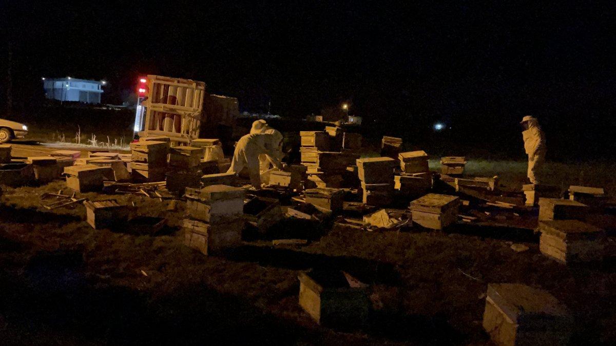 Şanlıurfa’da kovan yüklü pikap kaza yaptı, arılar yola saçıldı