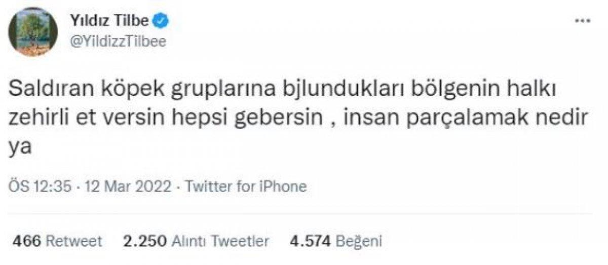 Yıldız Tilbe, 'köpek linci' sonrasında suç duyurusu yaptı