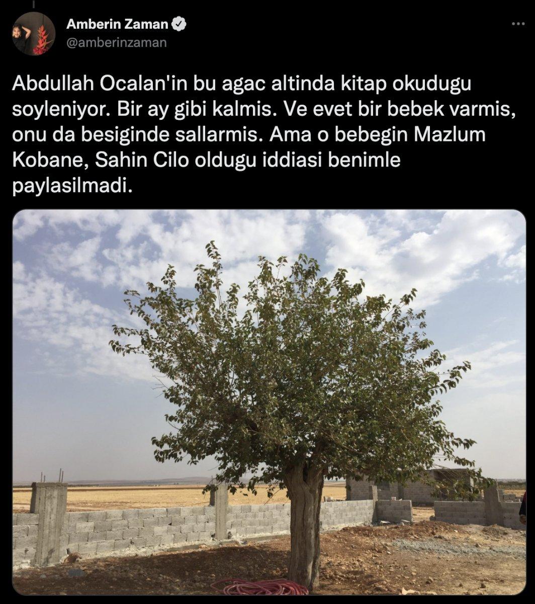 Amberin Zaman: Gazeteciliği bıraktım