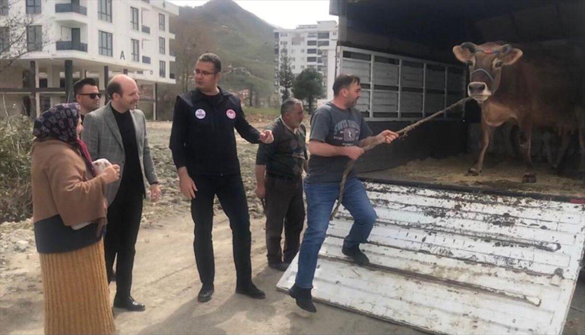 Ordu Valisi’nden istediği ineğe kavuştu, gözyaşı döktü