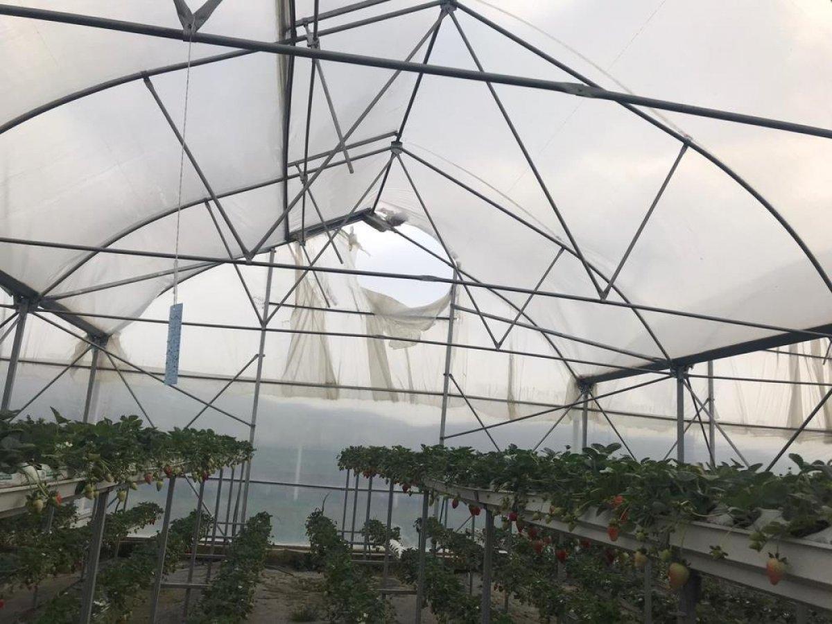 Aydın'da etkili olan fırtına hayatı olumsuz etkiledi