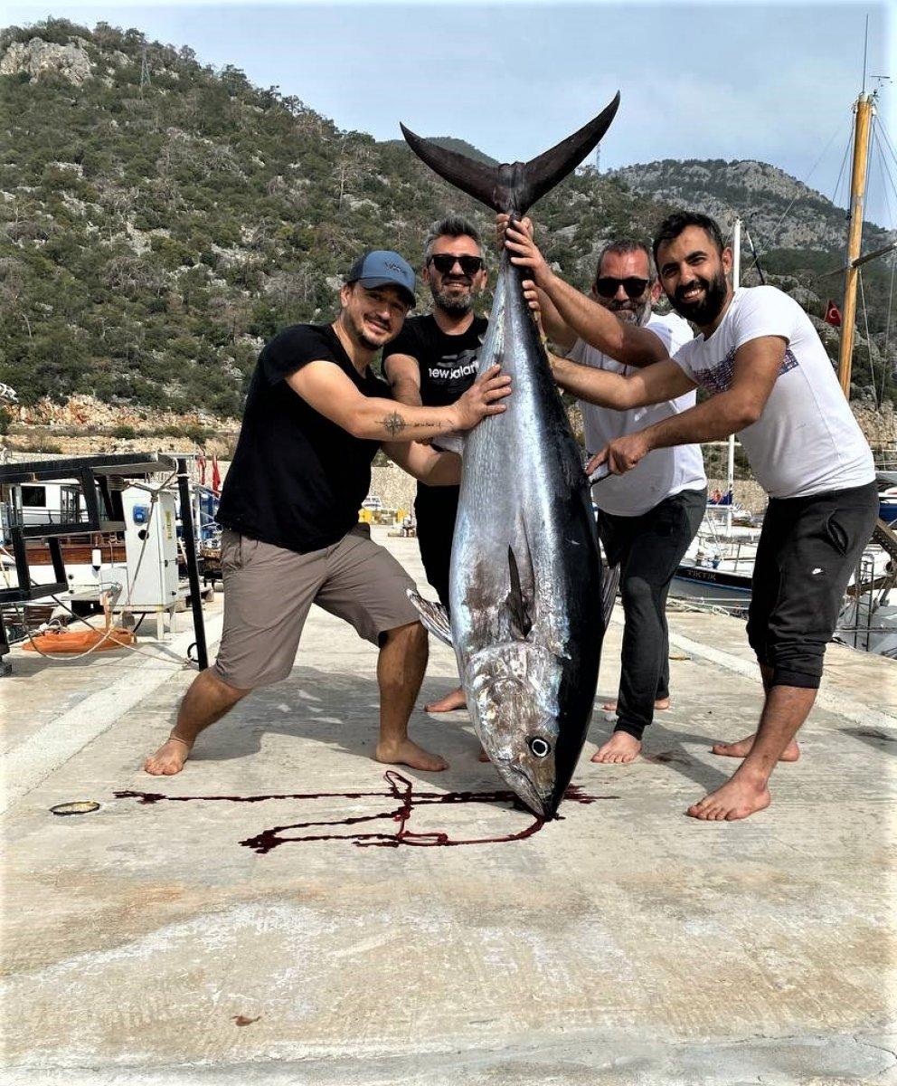 Antalya'da yakaladıkları orkinos balığını kamyonetle eve götürdüler