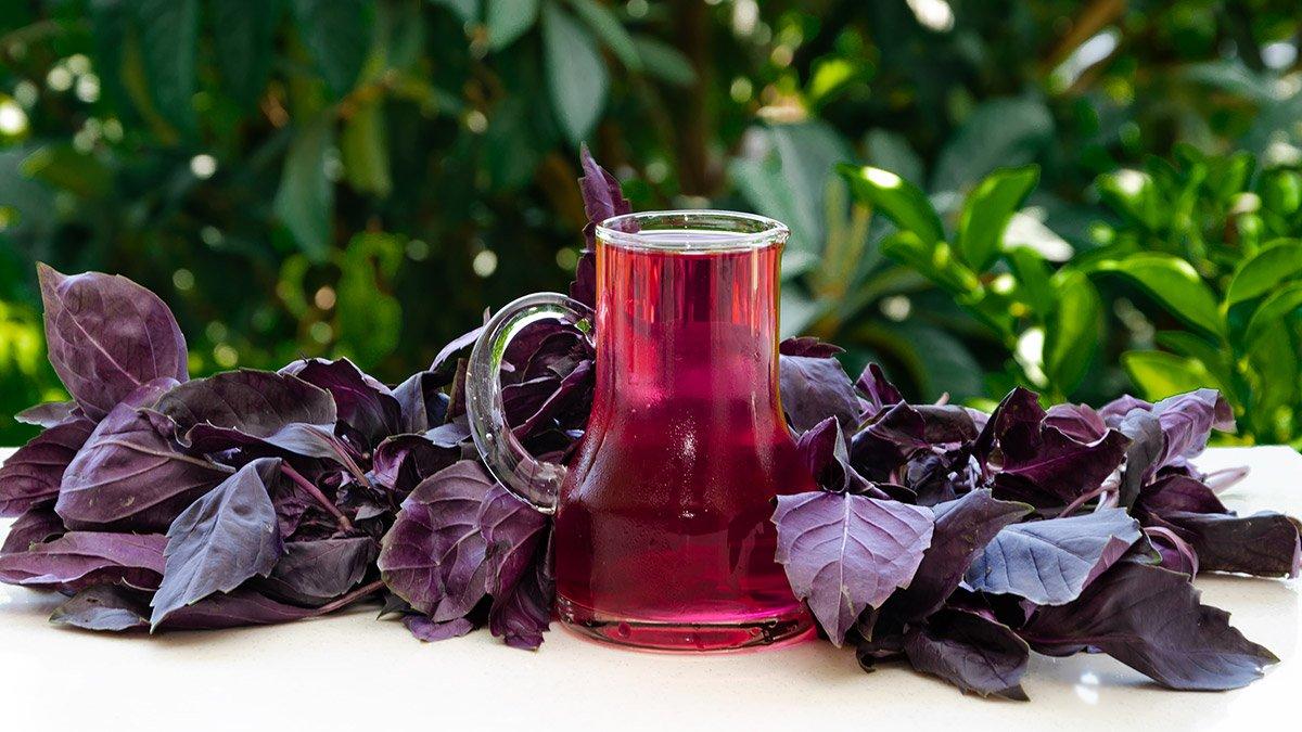 Tansiyon, şeker, kolestrol! İftardan sonra her şeyi dengeleyen şerbet...