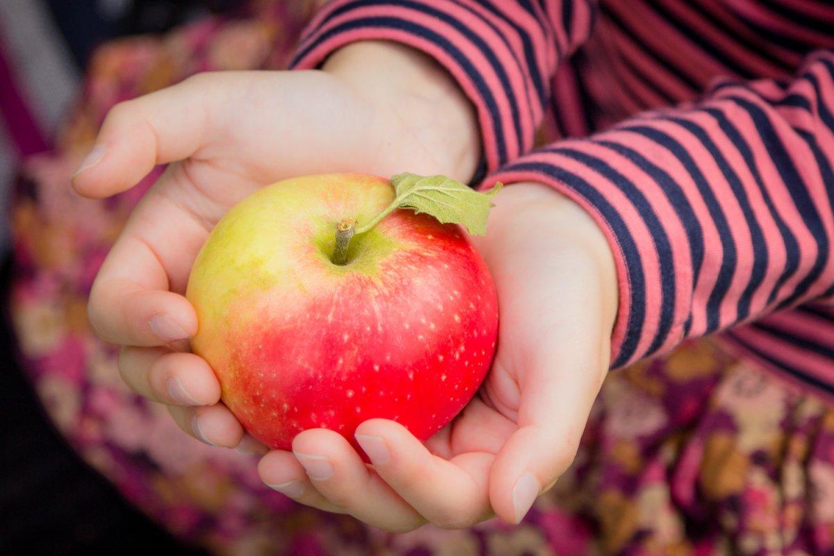 Gaz ve mide ağrılarına neden olan 10 besin grubu