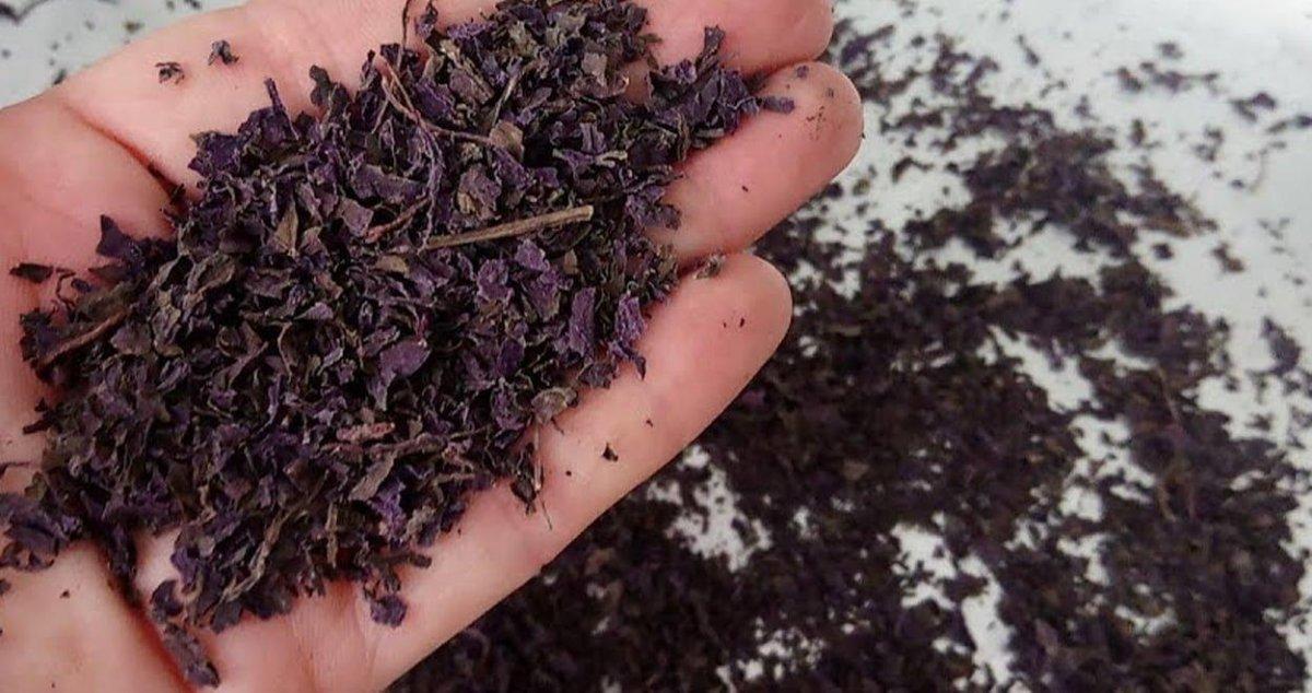 Tansiyon, şeker, kolestrol! İftardan sonra her şeyi dengeleyen şerbet...