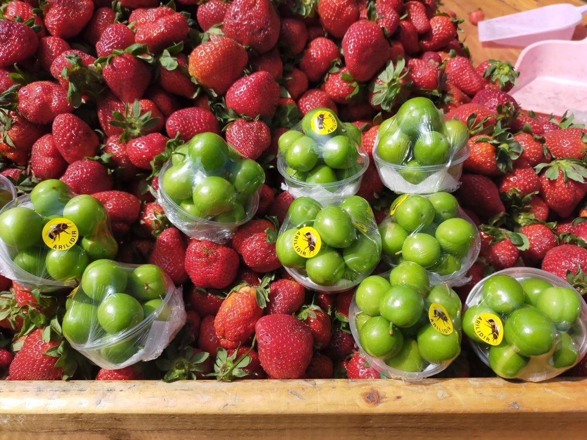 Yazın vazgeçilmezi erik tanesi 3 liradan tezgahlarda