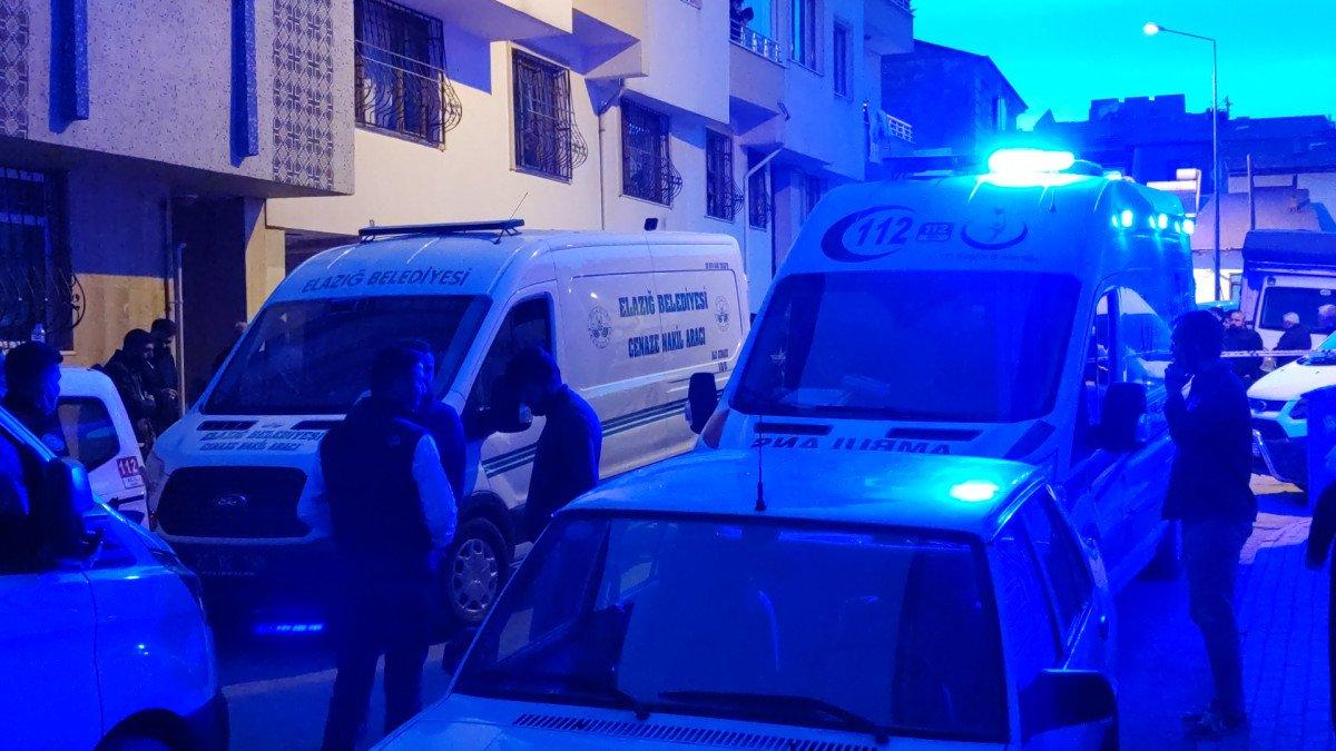 Elazığ'da kaynanası ve baldızını öldürüp bir çocuğu da ağır yaraladı
