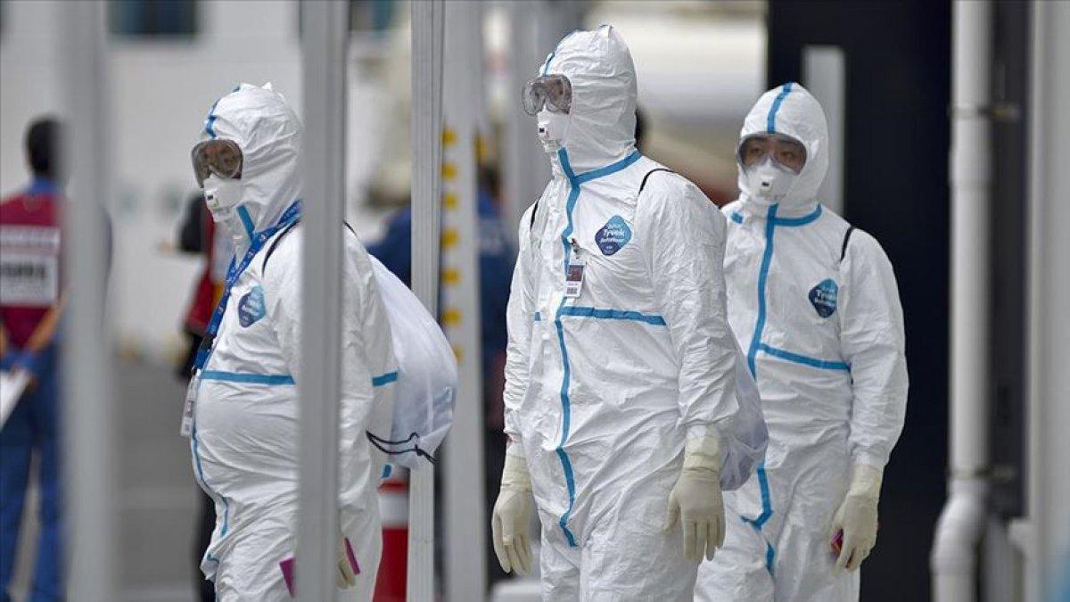 Japonya’da, ilk kez memeli bir hayvanda kuş gribi görüldü