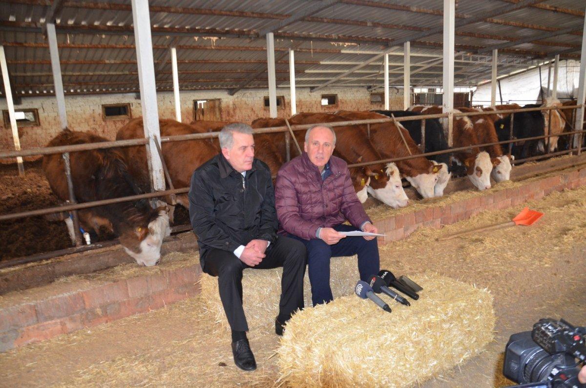 Muharrem İnce’den ahırda basın toplantısı