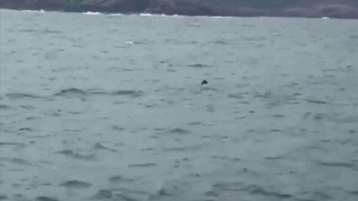 MSB: Kefken açıklarında mayın tespit edildi