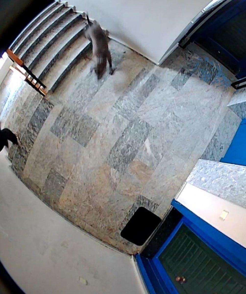 Antalya’da kadın komşunun eziyeti