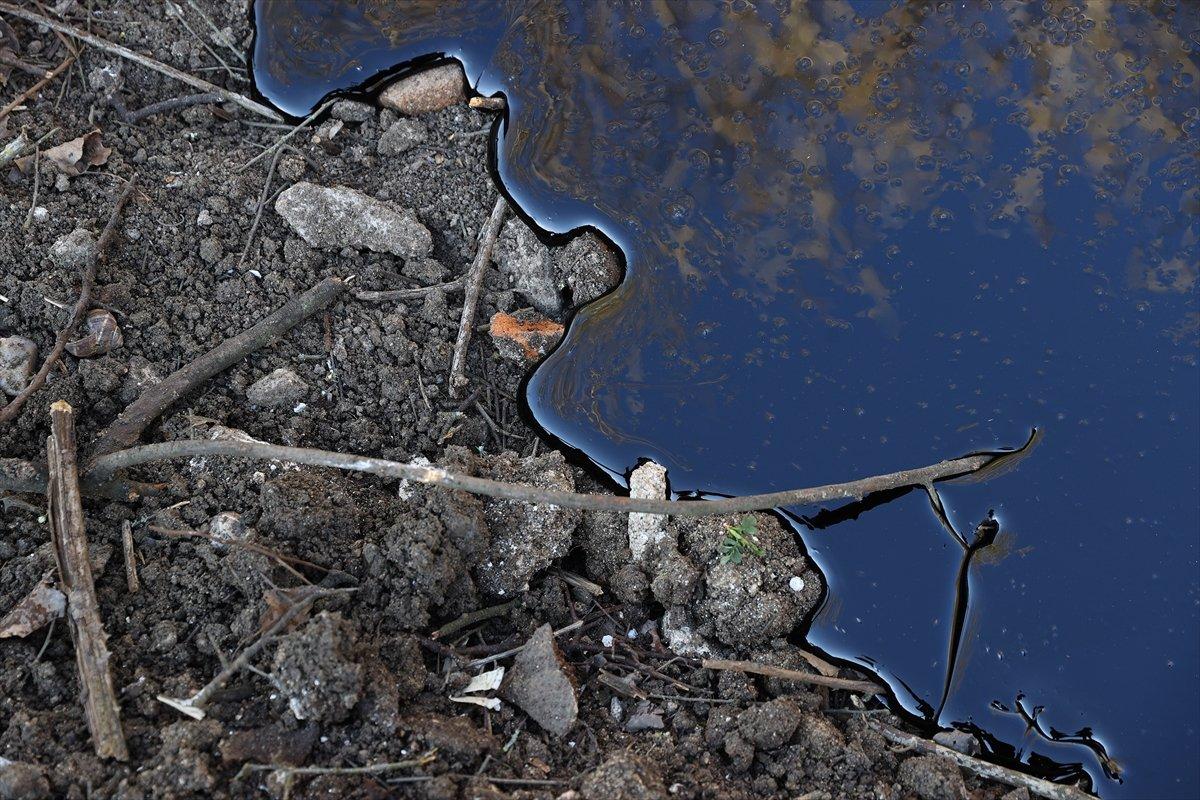 Edirne'deki asfalt şantiyesinden sızan ziftte son durum