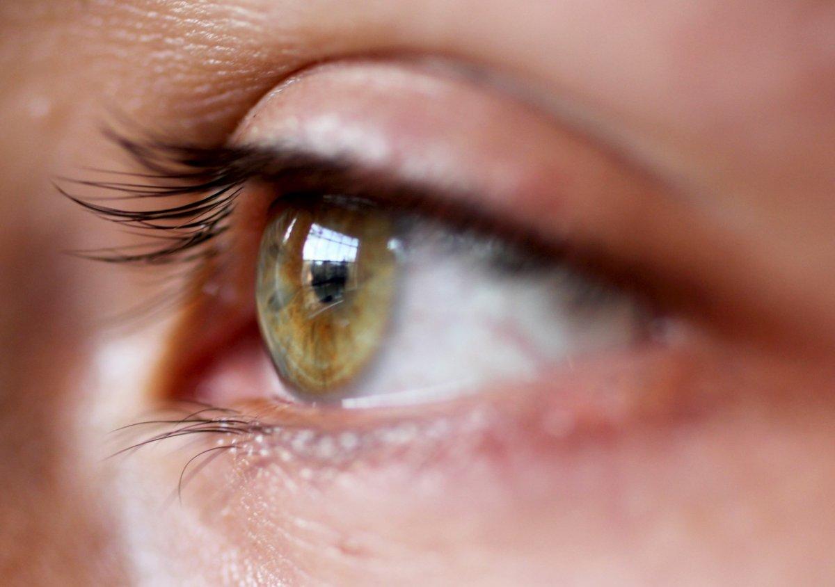 Göz sağlığına iyi gelen 10 gıda